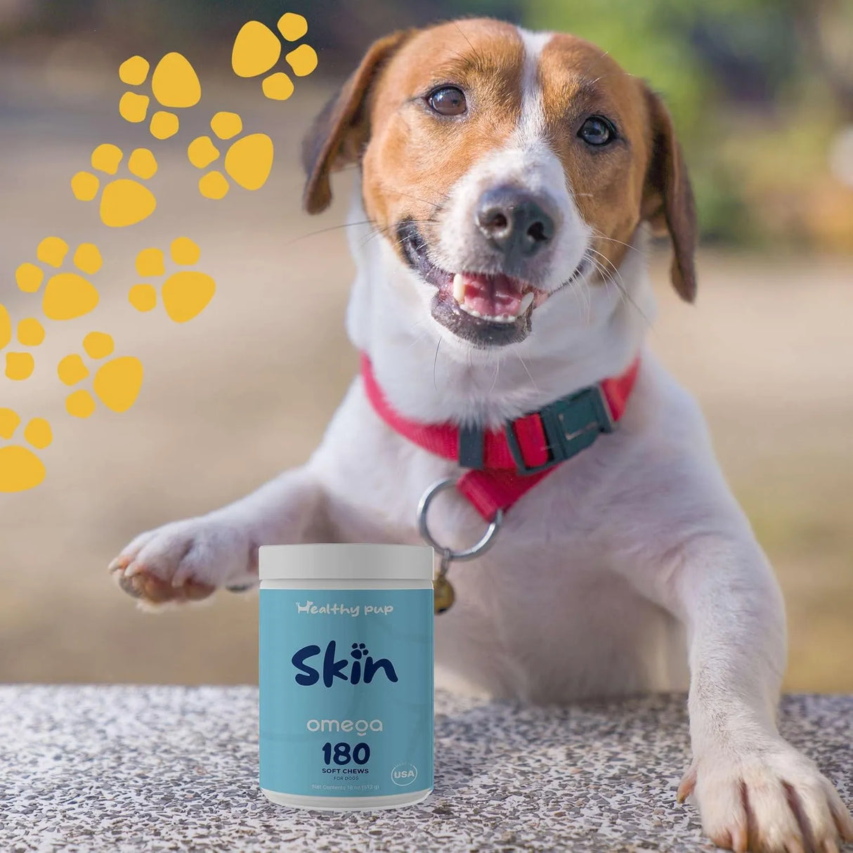 HEALTHY PUP - Healthy Pup Dog Fish Oil 180 Masticables - The Red Vitamin MX - Aceite De Pescado Para Perros - {{ shop.shopifyCountryName }}