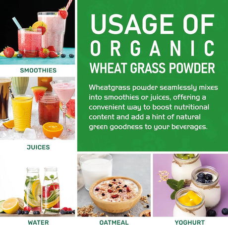 JIVA ORGANICS - Jiva Organics Wheatgrass Juice Powder 340Gr. - The Red Vitamin MX - Suplementos Alimenticios - {{ shop.shopifyCountryName }}