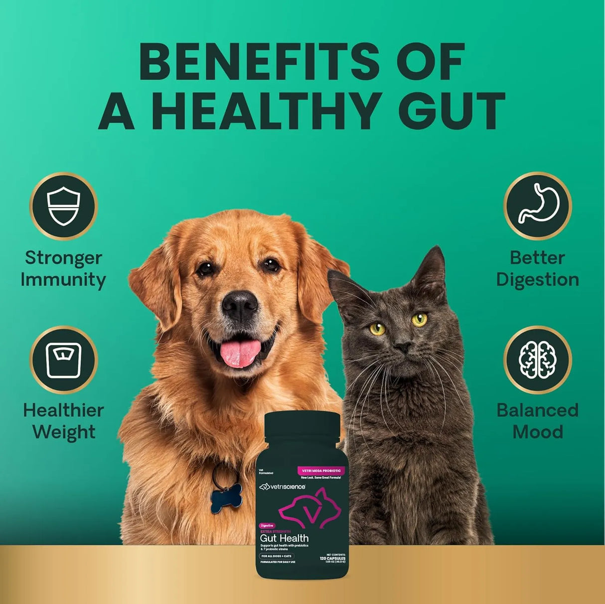 VETRISCIENCE - VetriScience Extra Strength Gut Health Probiotic & Prebiotic 120 Capsulas - The Red Vitamin MX - Probióticos Para Perros - {{ shop.shopifyCountryName }}
