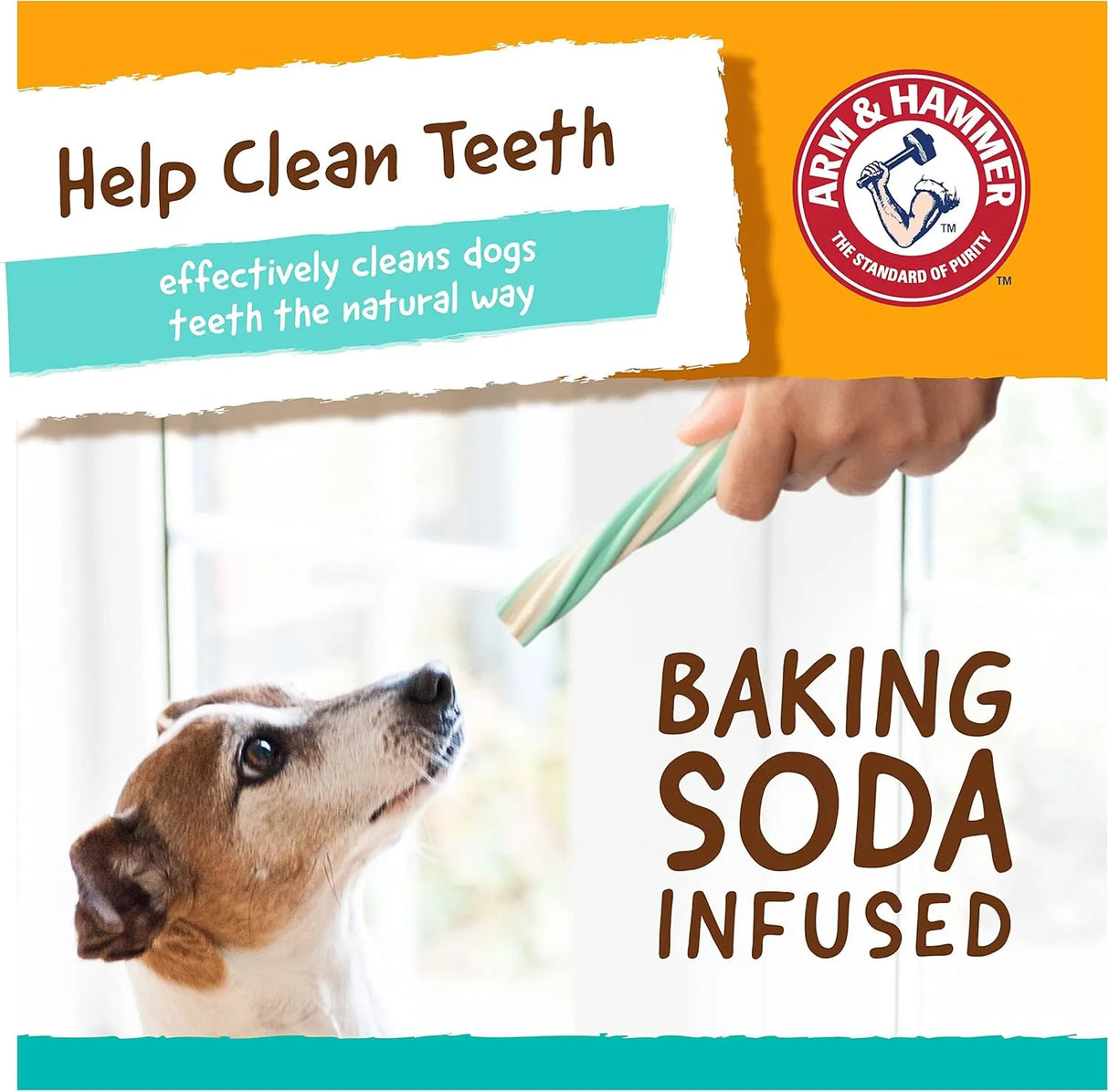 ARM & HAMMER - Arm & Hammer for Pets Twisters Fresh Breath Dental Treats for Dogs Medium Mint 57 Piezas - The Red Vitamin MX - Cuidado Dental Para Perros - {{ shop.shopifyCountryName }}