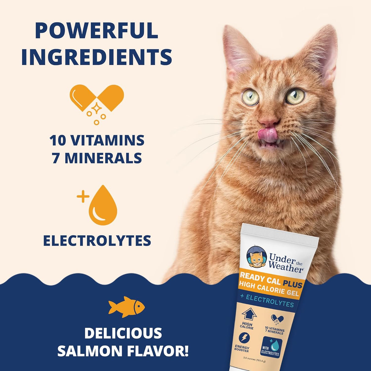 Under the Weather Pet Electrolytes Ready Cal Plus Gel for Cats 3.5 Oz.