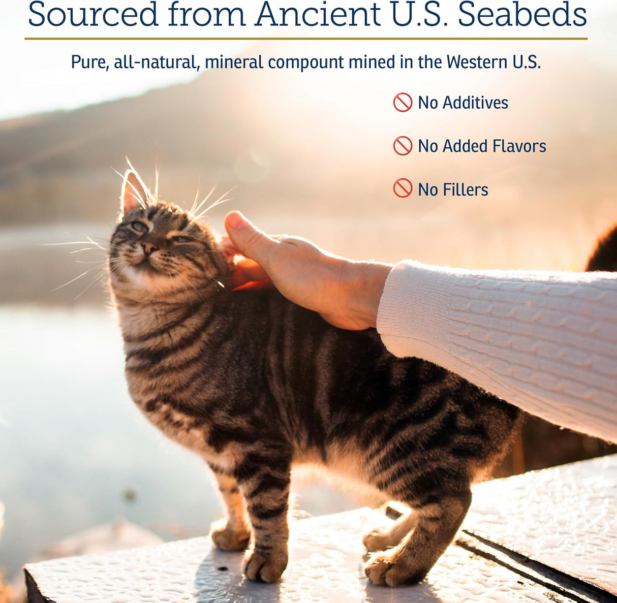 Rx Vitamins Feline Minerals 227Gr.