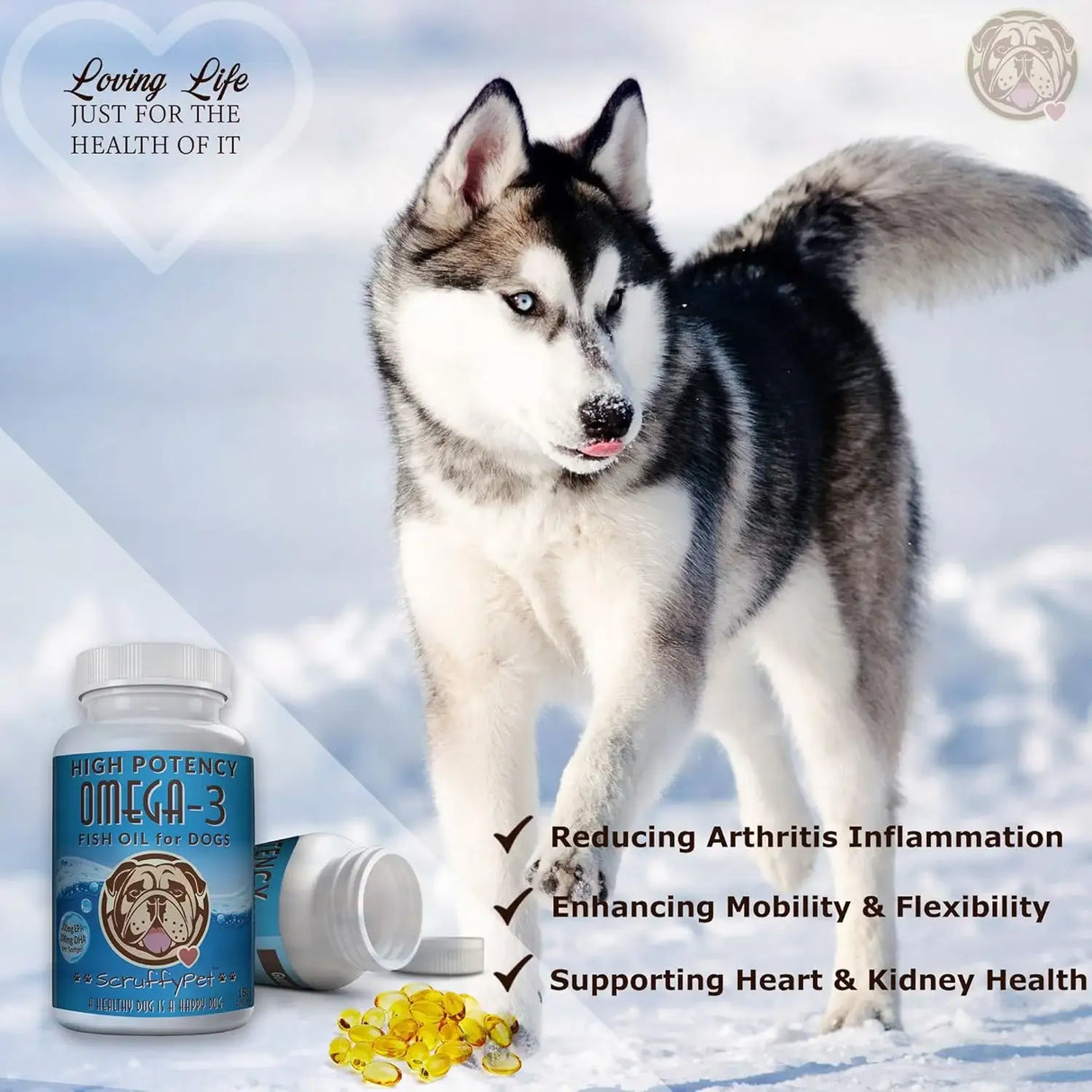 SCRUFFYPET - ScruffyPet Pure Omega 3 Wild Fish Oil for Dogs with Vitamin E 180 Capsulas Blandas - The Red Vitamin MX - Aceite De Pescado Para Perros - {{ shop.shopifyCountryName }}
