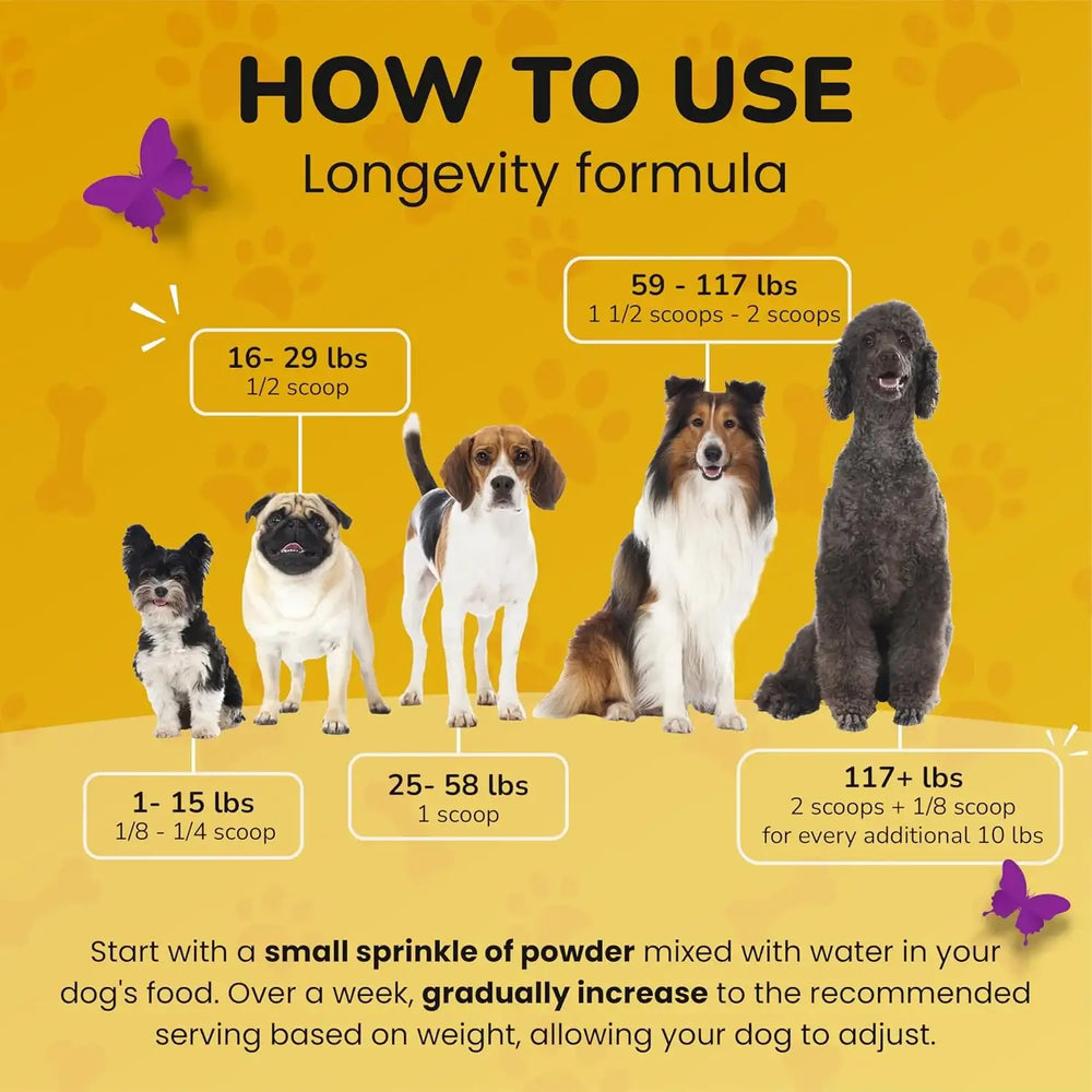 PETMADE - PETMADE Longevity Formula Turkey Tail Mushroom Antioxidant Dog 150Gr. - The Red Vitamin MX - Suplementos Herbales Para Perros - {{ shop.shopifyCountryName }}