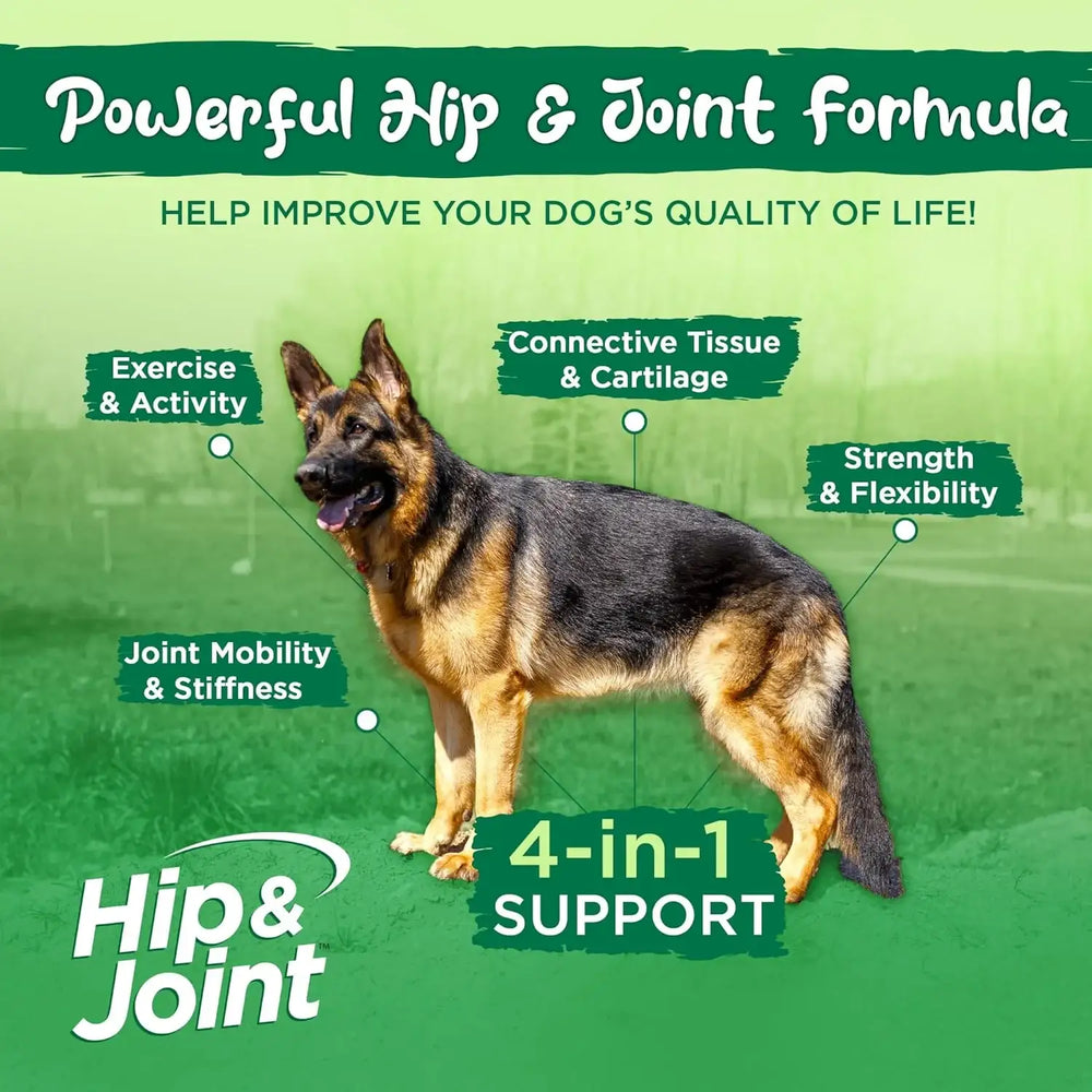 VITAL PLANET - Vital Planet Hip and Joint Soft Chews for Dogs Bacon Flavored 30 Masticables - The Red Vitamin MX - Cuidado De Cadera Y Articulaciones Para Perros - {{ shop.shopifyCountryName }}