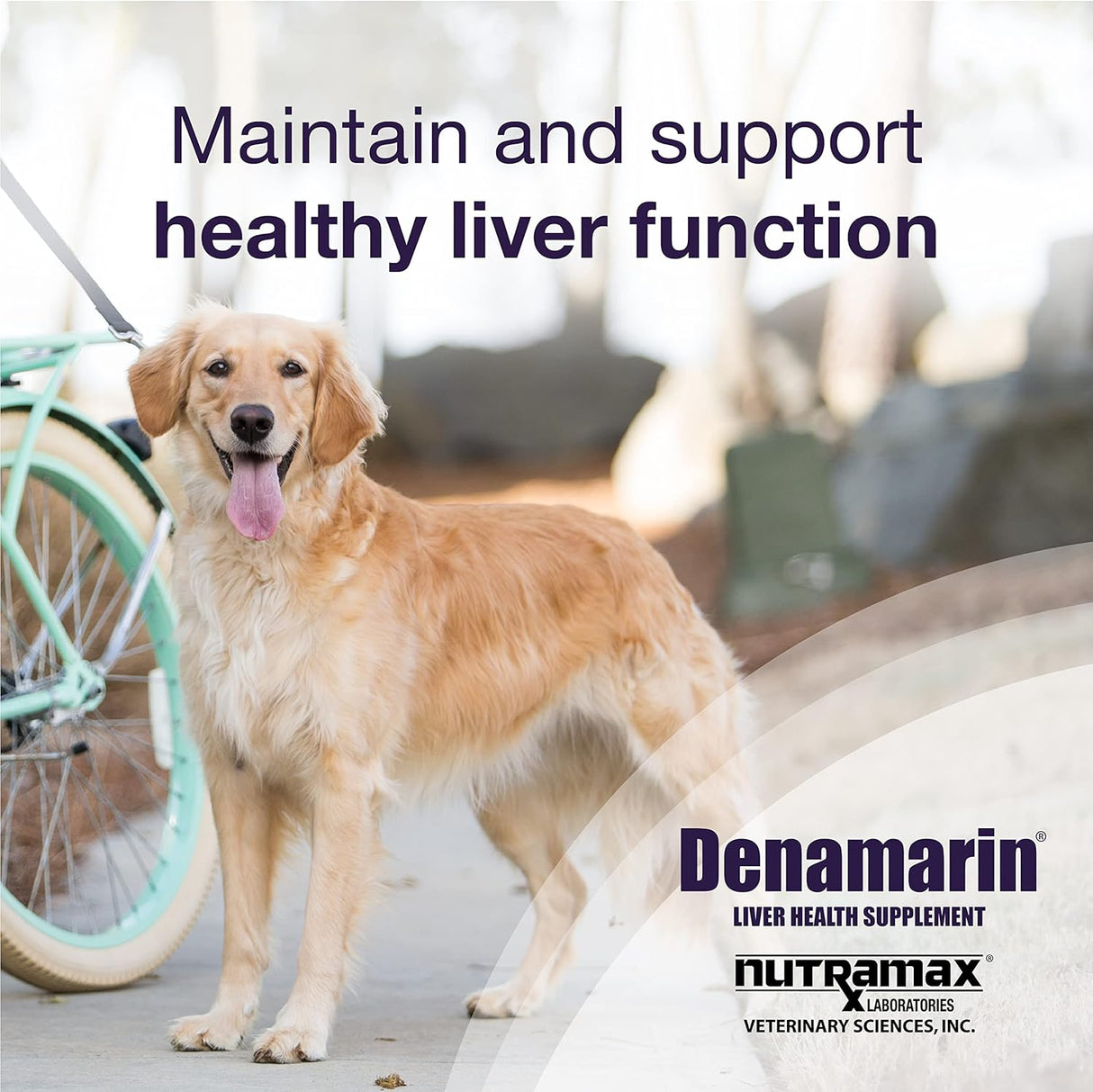 Nutramax Laboratories Denamarin Liver Health Supplement for Large Dogs 30 Tabletas