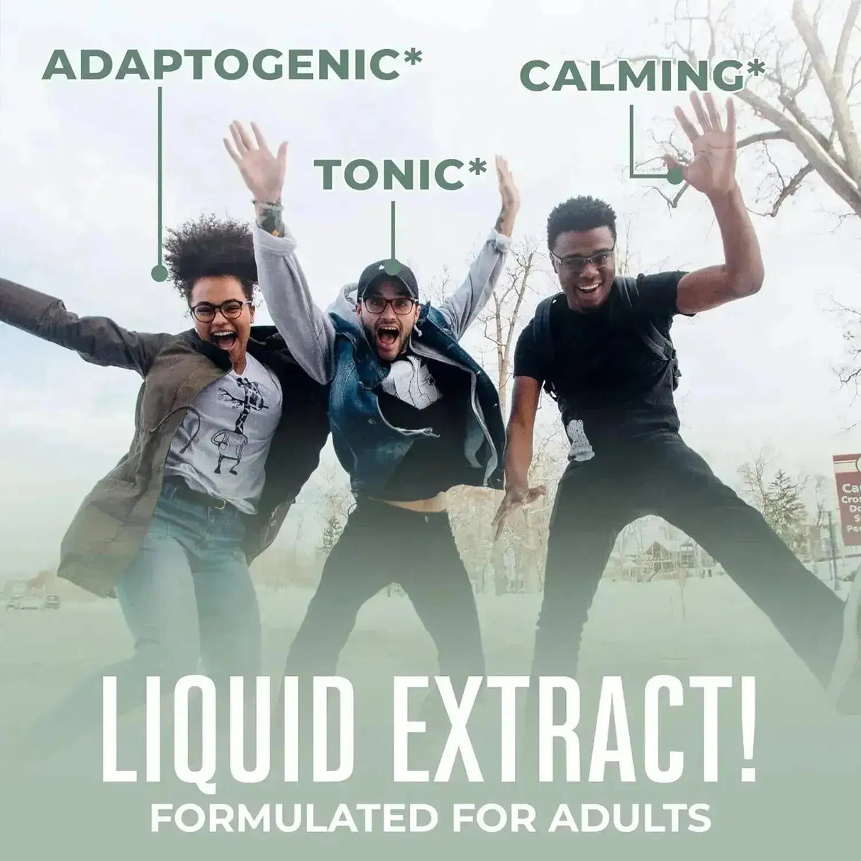 MARY RUTH ORGANICS - MaryRuth Organics Holy Basil Sugar Free 1 Fl.Oz. - The Red Vitamin MX - Suplementos Alimenticios - {{ shop.shopifyCountryName }}