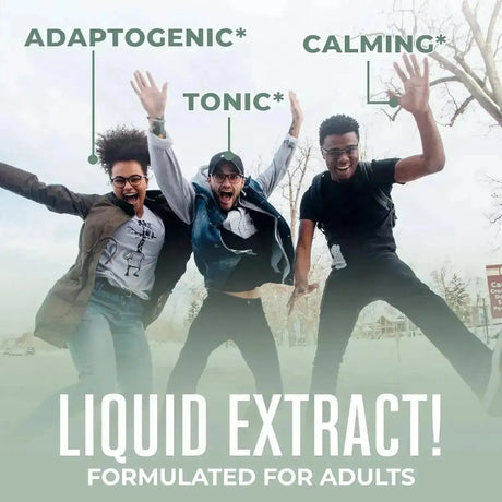 MARY RUTH ORGANICS - MaryRuth Organics Holy Basil Sugar Free 1 Fl.Oz. - The Red Vitamin MX - Suplementos Alimenticios - {{ shop.shopifyCountryName }}