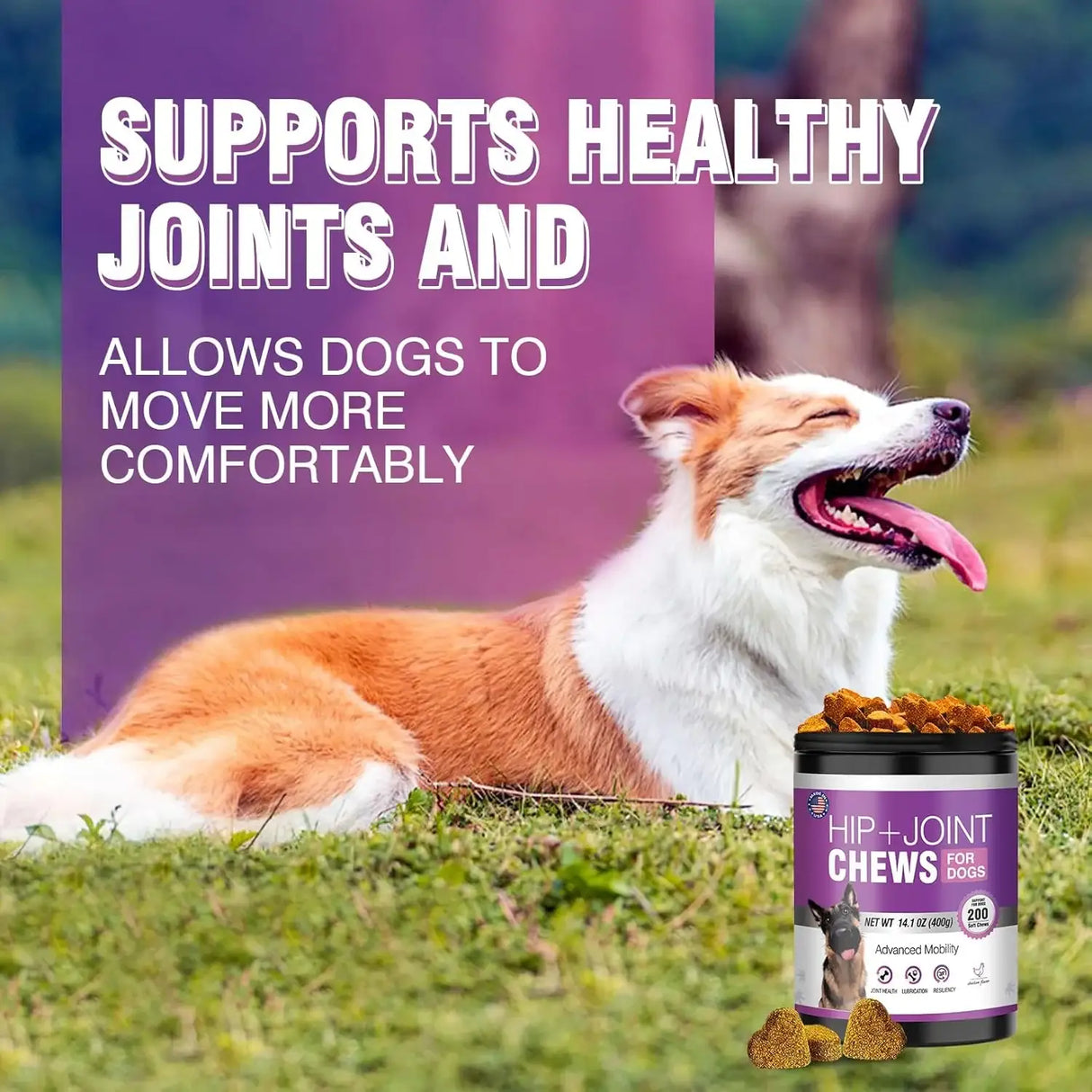 TTLXRL - TTLXRL Hip and Joint Glucosamine for Dogs 200 Masticables - The Red Vitamin MX - Cuidado De Cadera Y Articulaciones Para Perros - {{ shop.shopifyCountryName }}