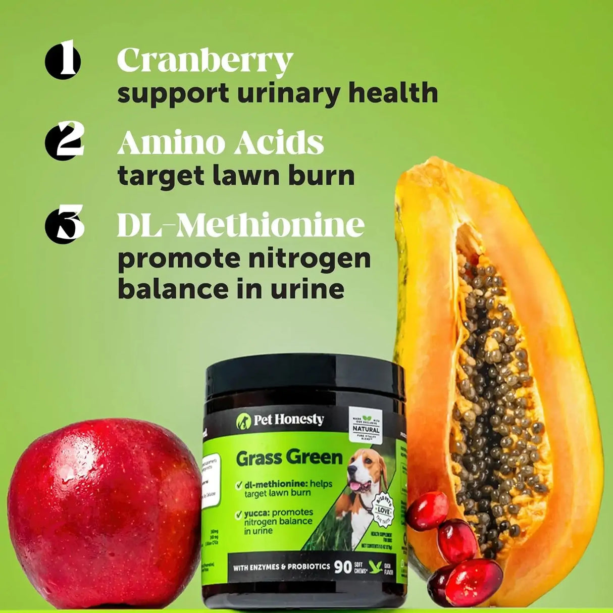 PET HONESTY - Pet Honesty Grass Green Dog Chews TURKEY 90 Masticables - The Red Vitamin MX - Salud De Tracto Urinario Para Perros - {{ shop.shopifyCountryName }}