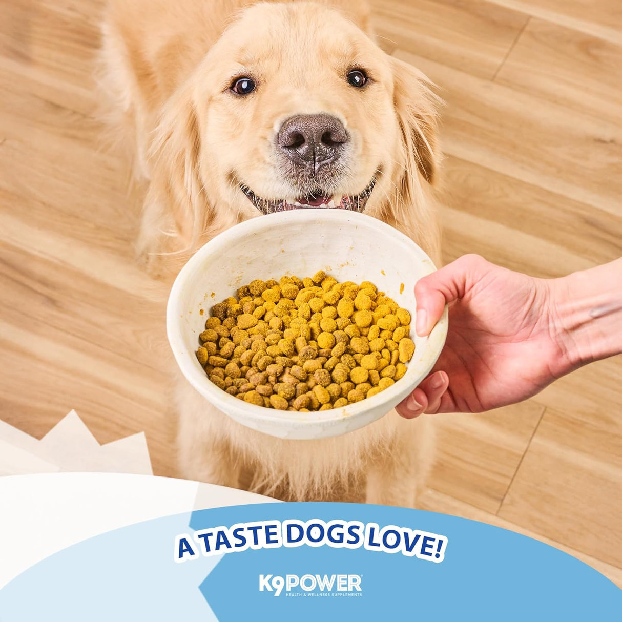 K9 Power Show Stopper for Dogs 454Gr. 2 Pack