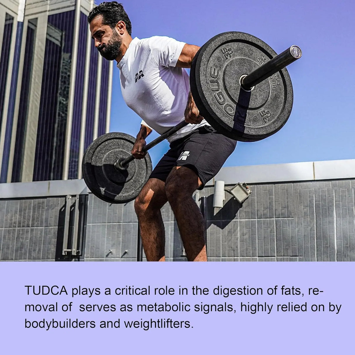 WELL&WHOLE - Well&Whole TUDCA 1000Mg. 60 Gomitas - The Red Vitamin MX - Suplementos Alimenticios - {{ shop.shopifyCountryName }}