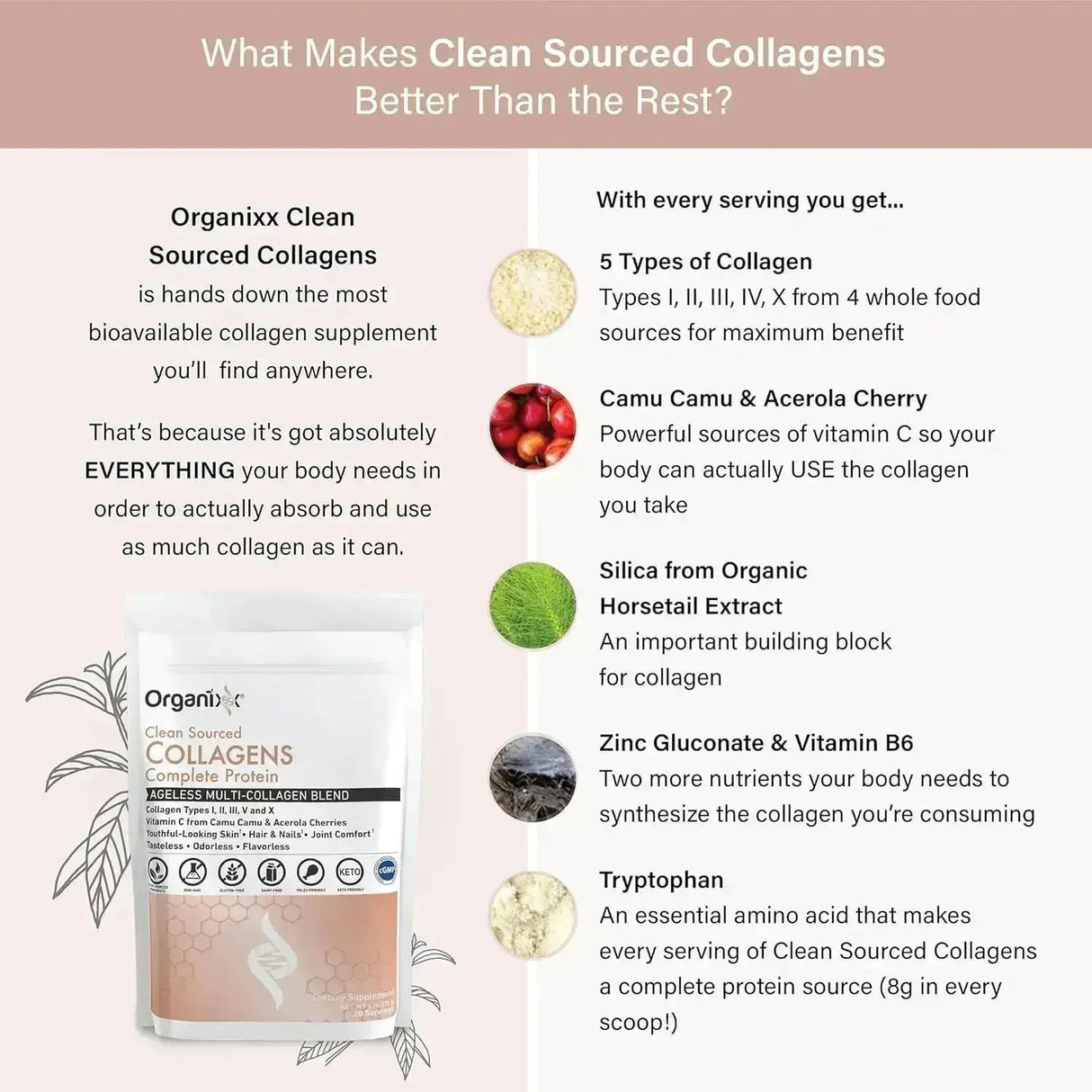 ORGANIXX - Organixx Collagen Peptides Powder 20 Servicios 170Gr. - The Red Vitamin MX - Suplementos Alimenticios - {{ shop.shopifyCountryName }}