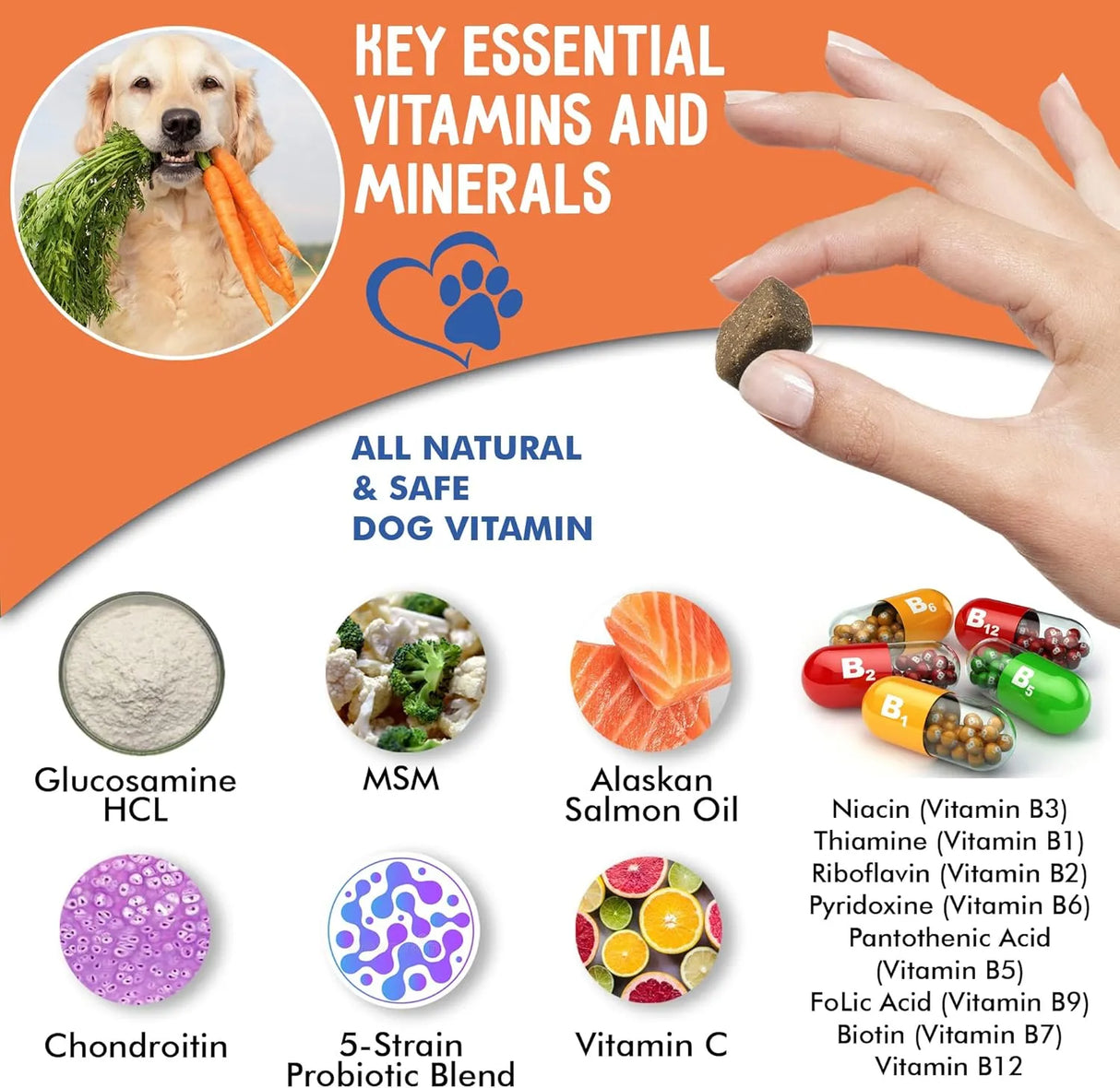 ZENBITES - ZenBites 12-in-1 Dog Vitamins & Probiotics 120 Masticables - The Red Vitamin MX - Multivitamínicos Para Perros - {{ shop.shopifyCountryName }}