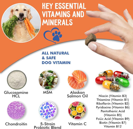 ZENBITES - ZenBites 12-in-1 Dog Vitamins & Probiotics 120 Masticables - The Red Vitamin MX - Multivitamínicos Para Perros - {{ shop.shopifyCountryName }}