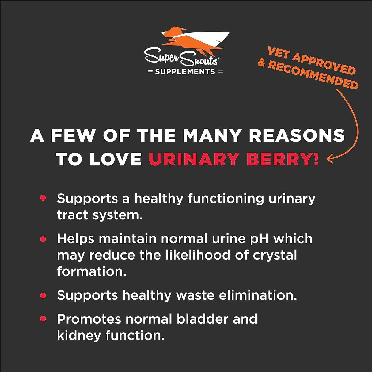 SUPER SNOUTS - Super Snouts Urinary Berry Urinary Tract Supplements for Dogs & Cats 75Gr. - The Red Vitamin MX - Salud De Tracto Urinario Para Perros - {{ shop.shopifyCountryName }}
