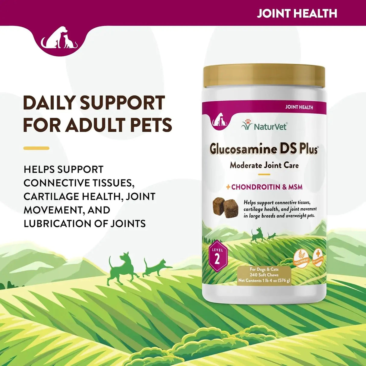 NATURVET - NaturVet Glucosamine DS Plus Level 2 Moderate Care 240 Masticables - The Red Vitamin MX - Cuidado De Cadera Y Articulaciones Para Perros - {{ shop.shopifyCountryName }}