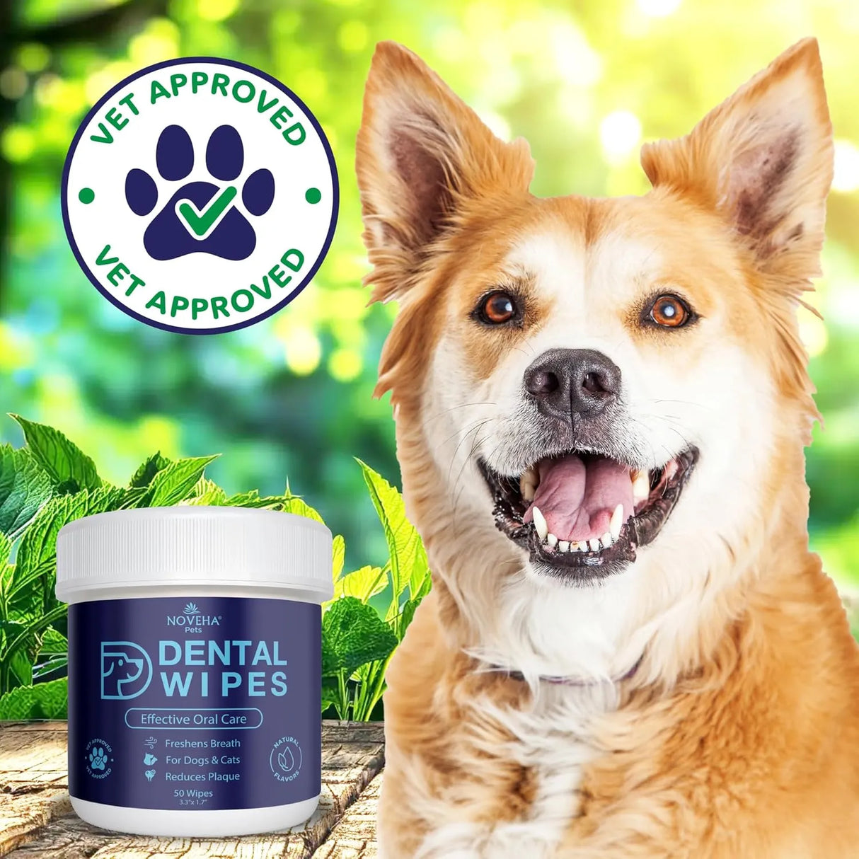 NOVEHA - NOVEHA Pets Dental Finger Wipes for Dogs & Cats Flavor-Free 50 Toallitas 2 Pack - The Red Vitamin MX - Cuidado Dental Para Perros - {{ shop.shopifyCountryName }}