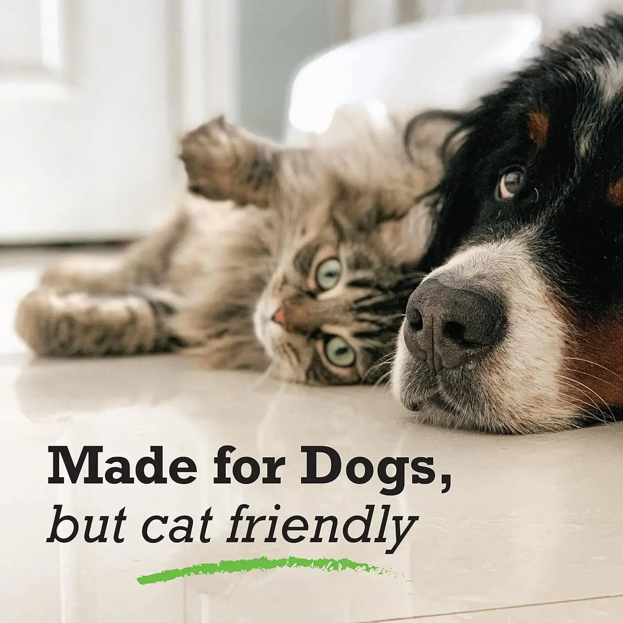 NATRIXONE - NatrixOne Omega 3 for Dogs 8 Fl.Oz. - The Red Vitamin MX - Aceite De Pescado Para Perros - {{ shop.shopifyCountryName }}