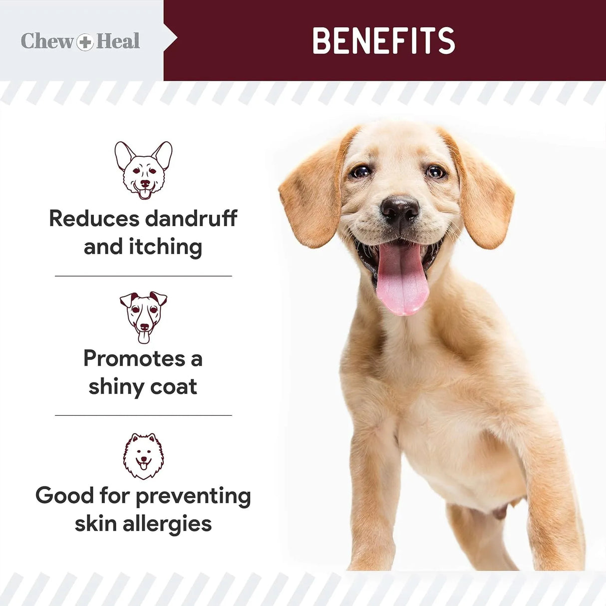 CHEW + HEAL - Chew + Heal Labs Omega Treats for Skin and Coat Lamb Flavor 180 Masticables - The Red Vitamin MX - Aceite De Pescado Para Perros - {{ shop.shopifyCountryName }}