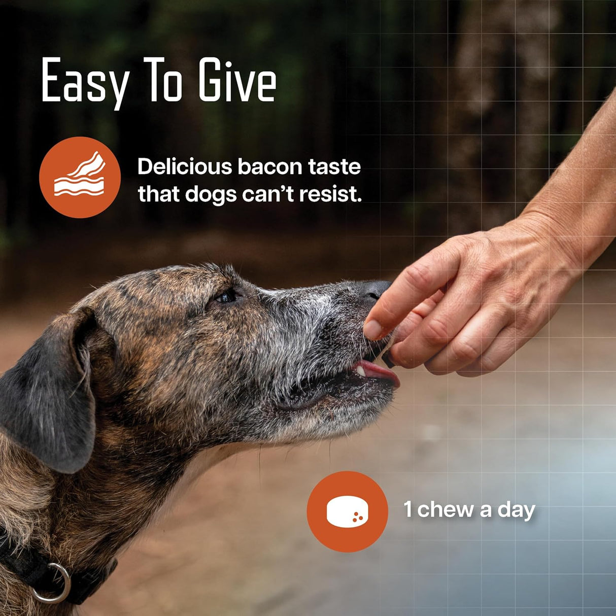 Virbac URSOLYX Soft Chews for Dogs Muscle Health Support 60 Masticables