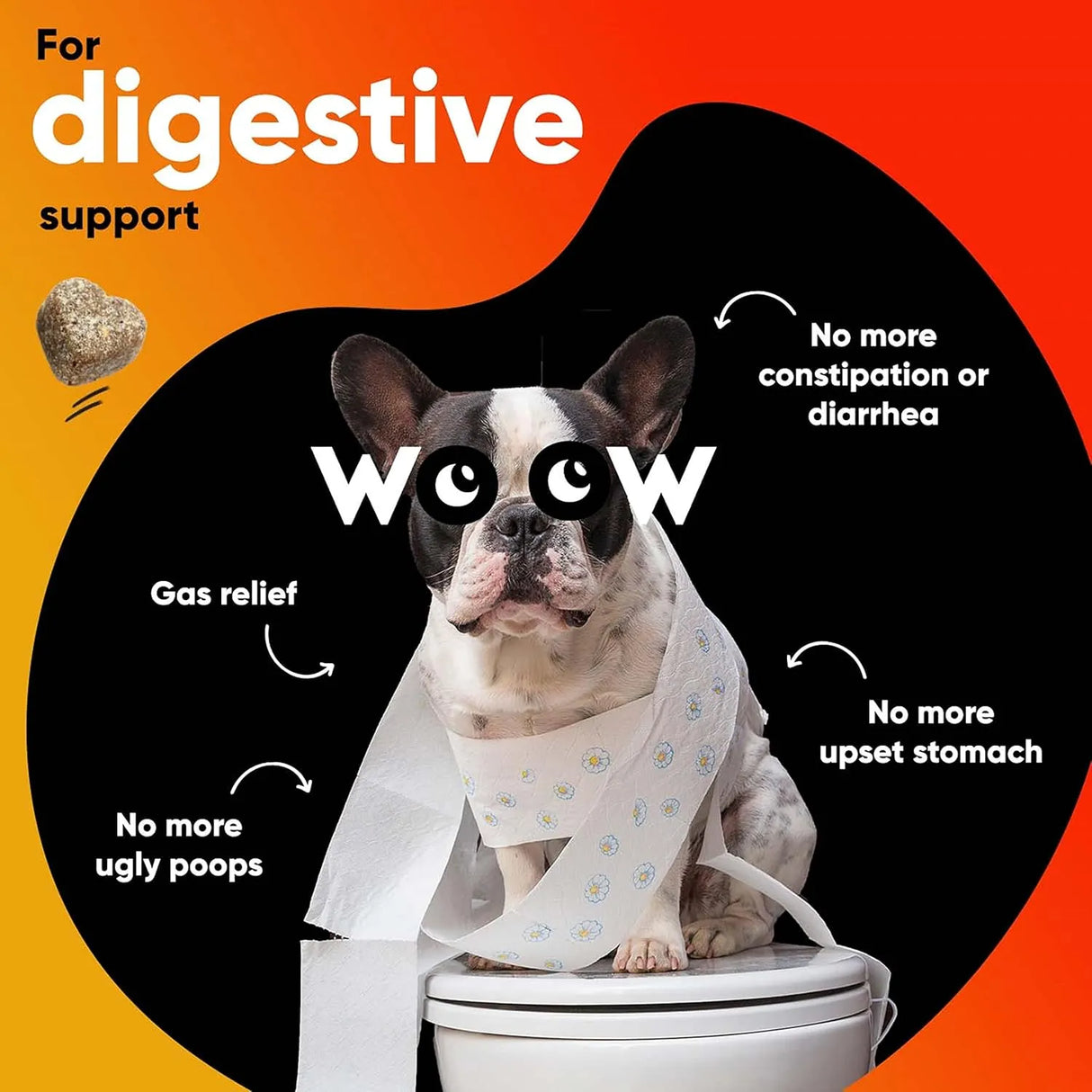 DR WOOW - DR WOOW Probiotics for Dogs 90 Masticables - The Red Vitamin MX - Probióticos Para Perros - {{ shop.shopifyCountryName }}