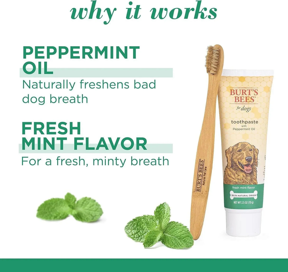 BURT'S BEES - Burt's Bees for Pets Naturally Derived Oral Care Kit 2.5 Oz. - The Red Vitamin MX - Cuidado Dental Para Perros - {{ shop.shopifyCountryName }}