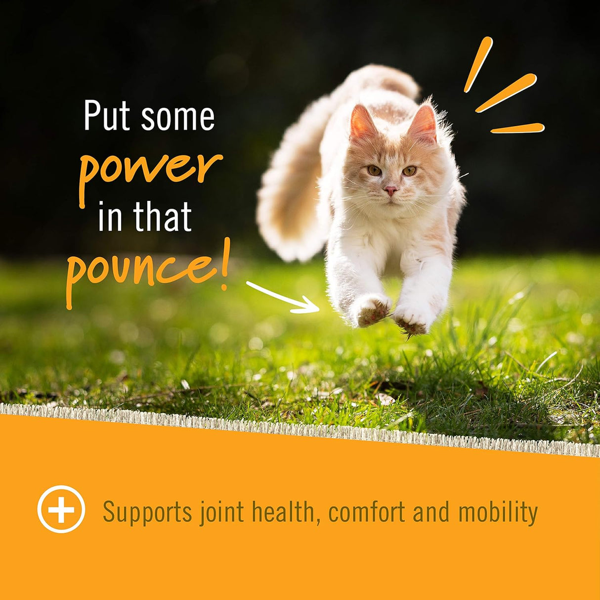 Pet Naturals Hip and Joint Support Supplement for Cats 30 Masticables