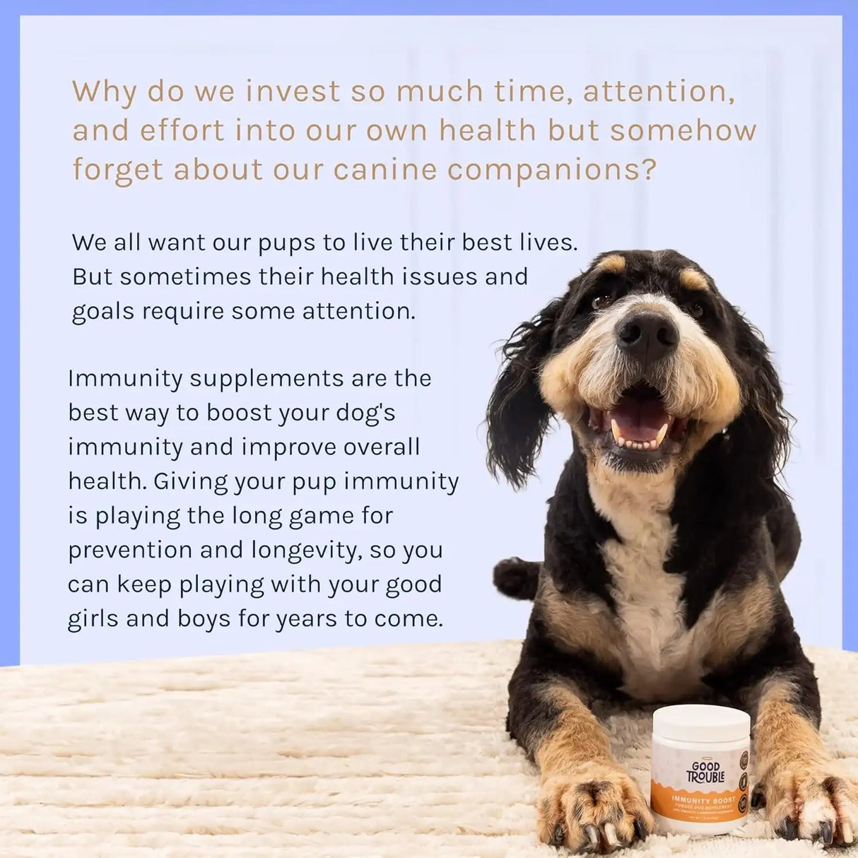 GOOD TROUBLE - Good Trouble Dog Immune Support Supplement 54Gr. - The Red Vitamin MX - Suplementos Herbales Para Perros - {{ shop.shopifyCountryName }}