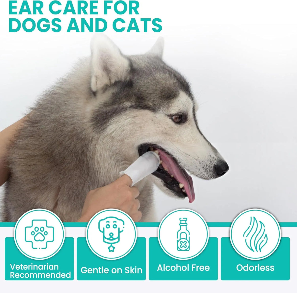 ALL 4 PETS - All 4 Pets Dog Dental Wipes 60 Toallitas - The Red Vitamin MX - Cuidado Dental Para Perros - {{ shop.shopifyCountryName }}