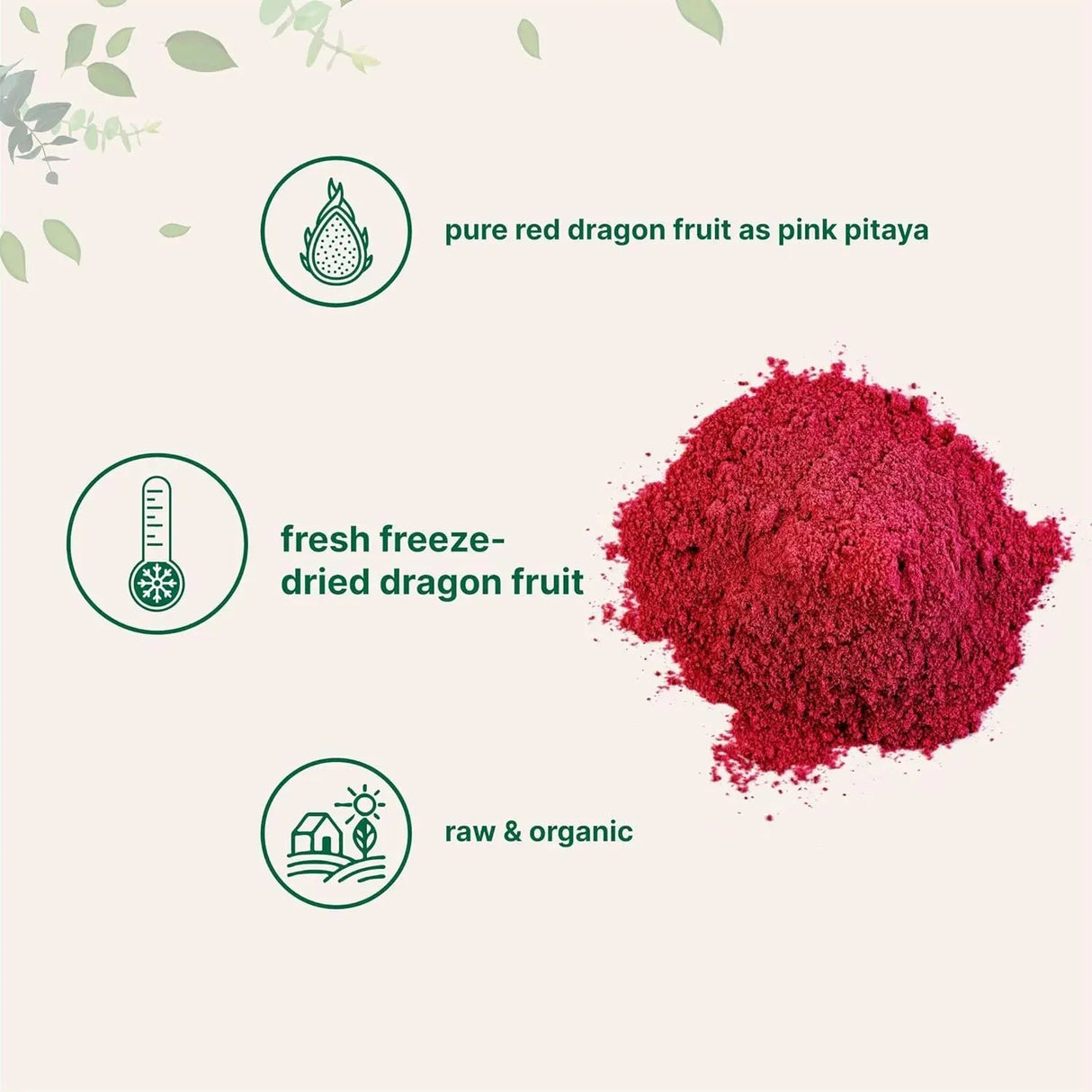 MICRO INGREDIENTS - Micro Ingredients Organic Dragon Fruit Powder 283Gr. - The Red Vitamin MX - Suplementos Alimenticios - {{ shop.shopifyCountryName }}