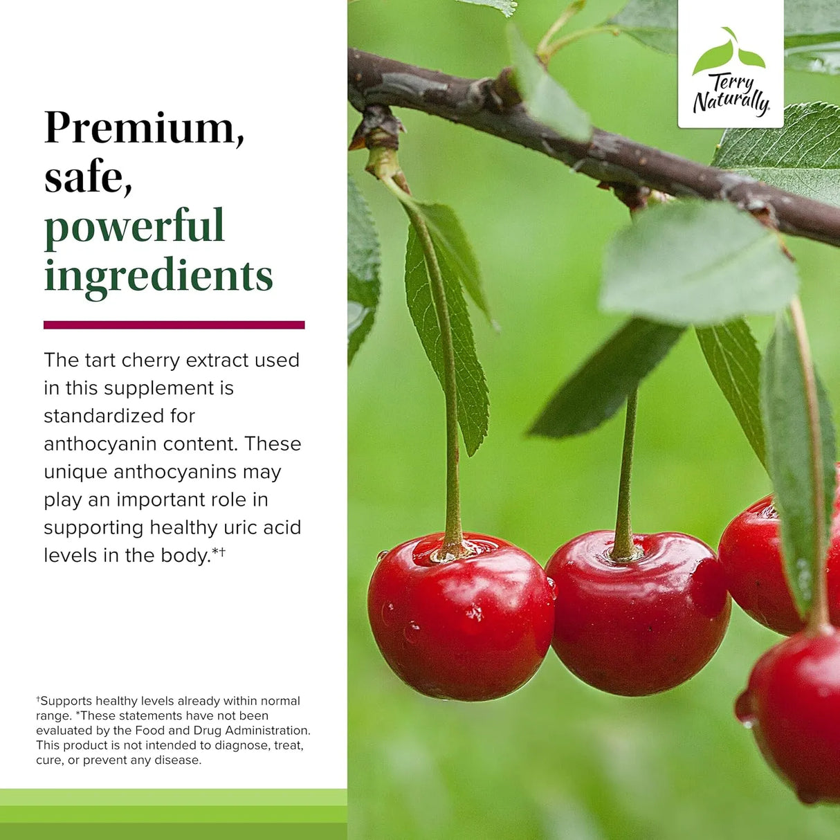 TERRY NATURALLY - Terry Naturally Tart Cherry 120 Capsulas - The Red Vitamin MX - Suplementos Alimenticios - {{ shop.shopifyCountryName }}