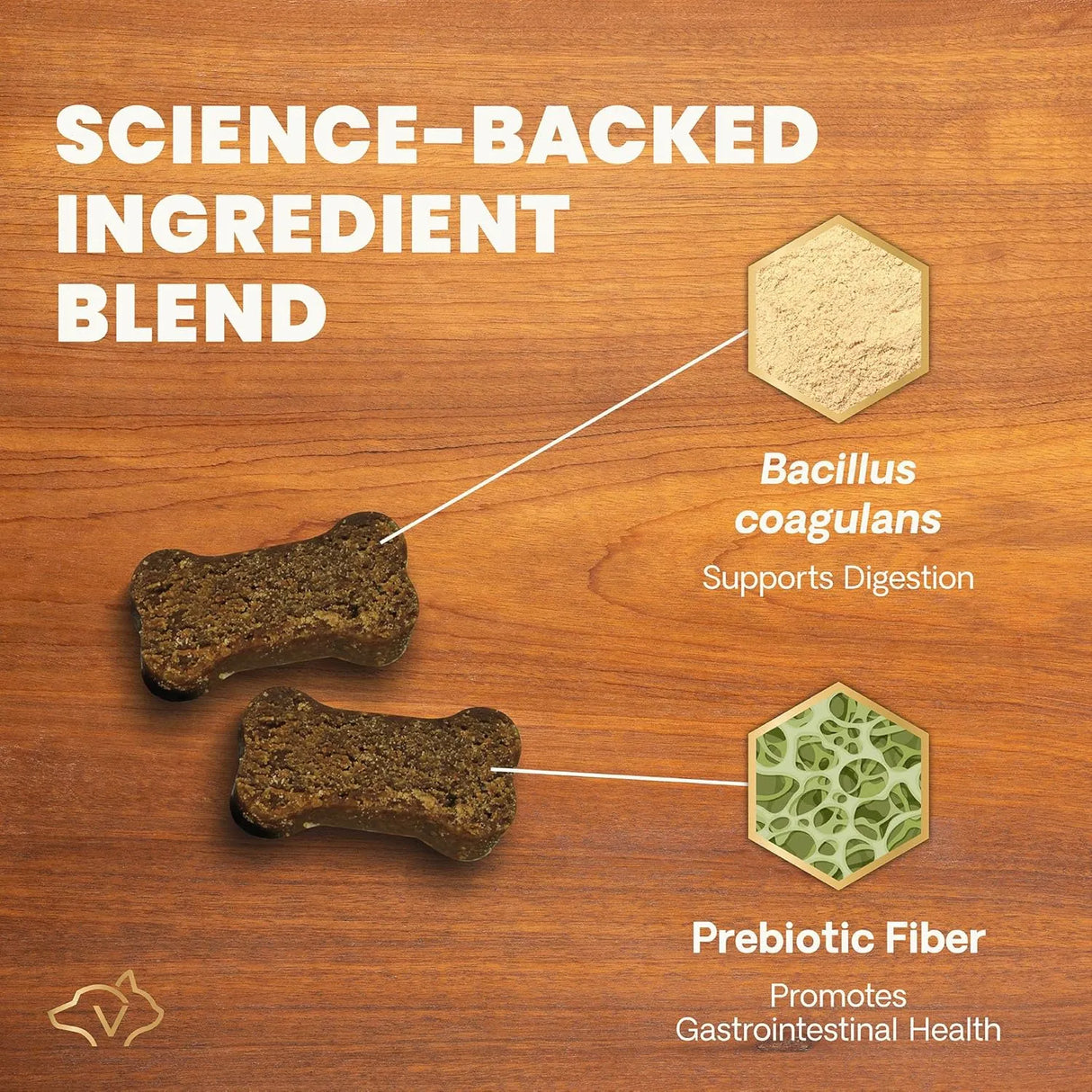 VETRISCIENCE - VetriScience Gut Health Chews Probiotic Everyday Digestive 120 Masticables - The Red Vitamin MX - Probióticos Para Perros - {{ shop.shopifyCountryName }}