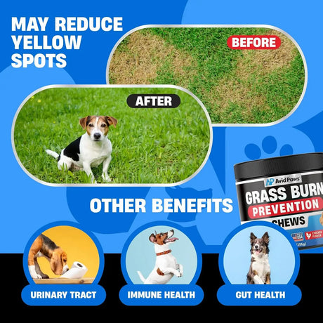 AVID PAWS - Avid Paws Dog Urine Neutralizer for Lawn 120 Masticables - The Red Vitamin MX - Salud De Tracto Urinario Para Perros - {{ shop.shopifyCountryName }}