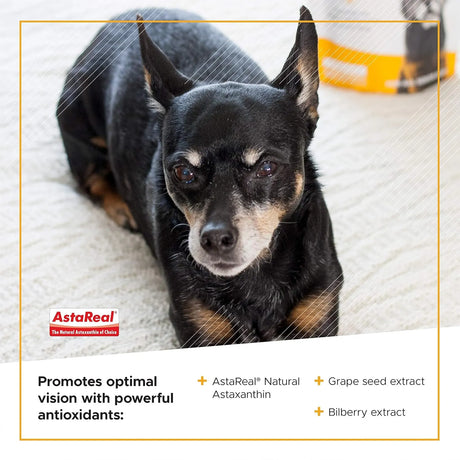 VETRISCIENCE - VetriScience Golden Years Clear and Bright Vision Support for Senior Dogs Chicken Flavor 60 Masticables - The Red Vitamin MX - Cuidado De Los Ojos De Los Perros - {{ shop.shopifyCountryName }}