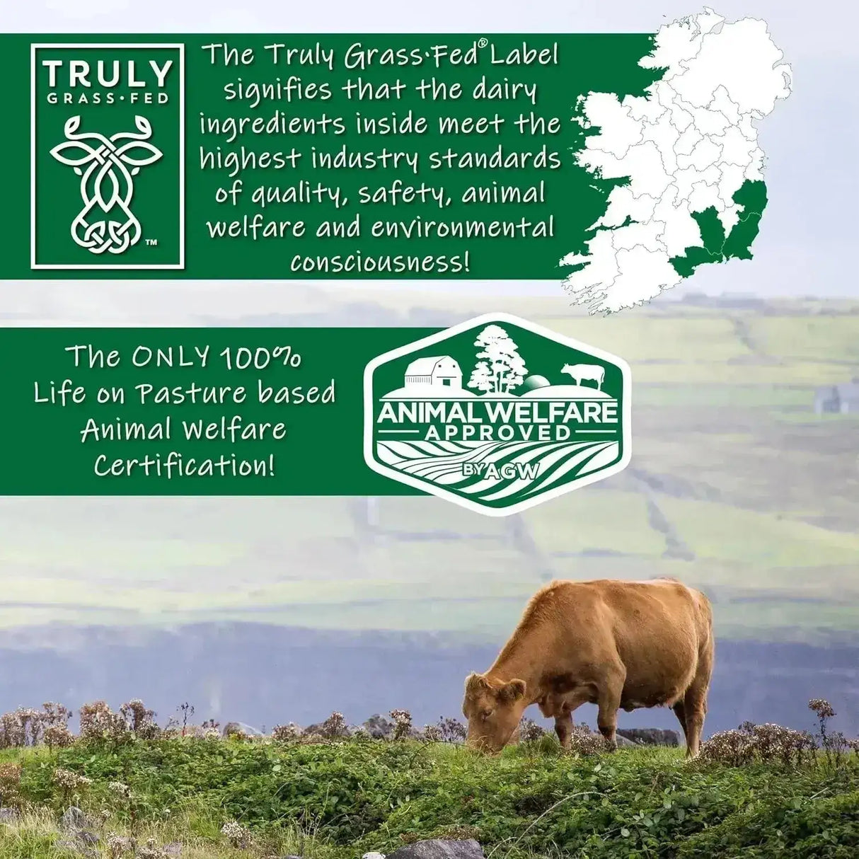 AGN ROOTS - AGN Roots Grass Fed Whey Protein Powder Isolate Unflavored 454Gr. - The Red Vitamin MX - Suplementos Alimenticios - {{ shop.shopifyCountryName }}