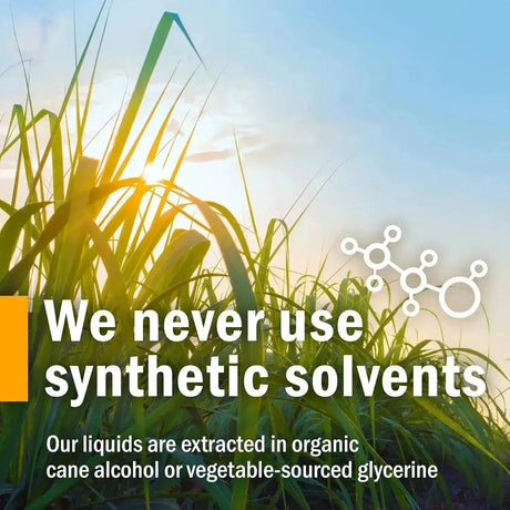 HERB PHARM - Herb Pharm Certified Organic Goldenseal Liquid Extract 4 Fl.Oz. - The Red Vitamin MX - Suplementos Alimenticios - {{ shop.shopifyCountryName }}