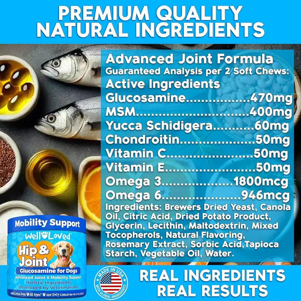 WELL LOVED - Well Loved Hip and Joint Chews with MSM 120 Masticables - The Red Vitamin MX - Cuidado De Cadera Y Articulaciones Para Perros - {{ shop.shopifyCountryName }}