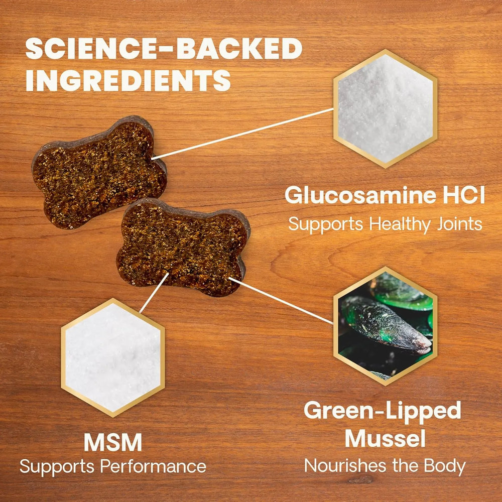 VETRISCIENCE - VetriScience Extra Strength Healthy Hip & Joint Chews 60 Masticables - The Red Vitamin MX - Cuidado De Cadera Y Articulaciones Para Perros - {{ shop.shopifyCountryName }}