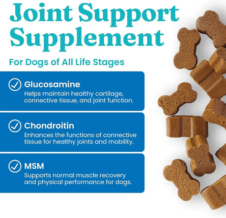 SOLID GOLD - Solid Gold Hip and Joint Supplement for Dogs 120 Masticables - The Red Vitamin MX - Cuidado De Cadera Y Articulaciones Para Perros - {{ shop.shopifyCountryName }}
