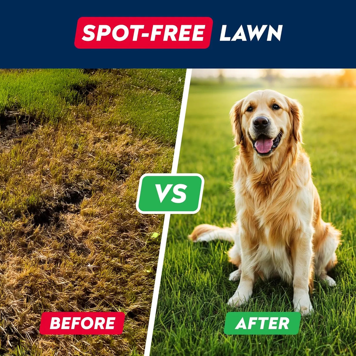 STRELLALAB - STRELLALAB Green Grass Dog Chews 120 Masticables - The Red Vitamin MX - Salud De Tracto Urinario Para Perros - {{ shop.shopifyCountryName }}