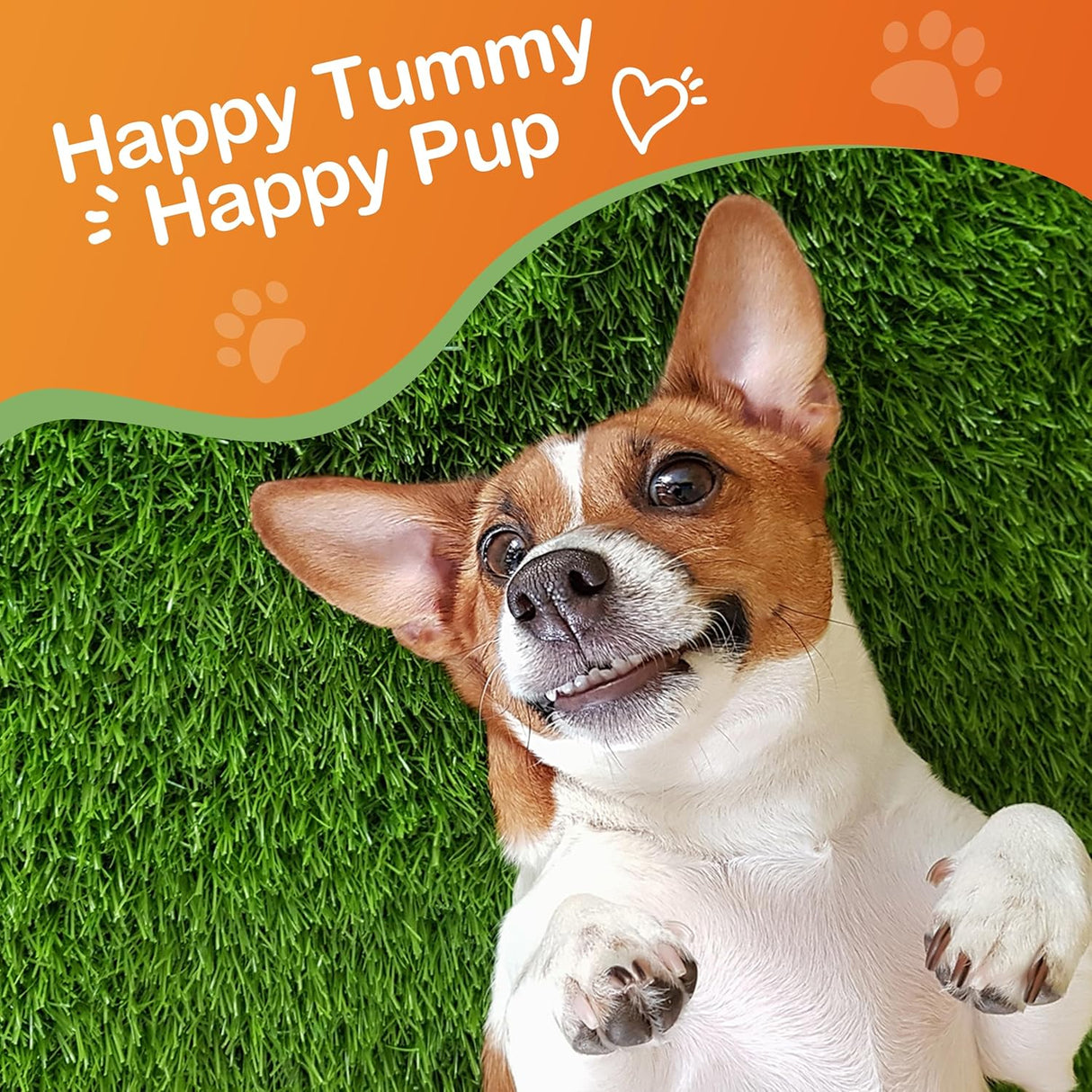 Jollyfit Antidiarrheal for Dogs Kaolin Pectin Probiotic Paste for Dog 30Ml.