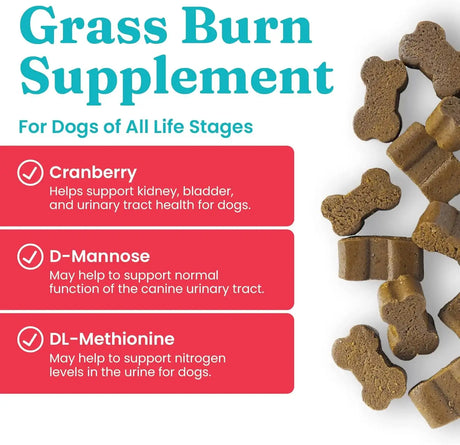 SOLID GOLD - Solid Gold Dog Pee Grass Repair Chews 120 Masticables - The Red Vitamin MX - Salud De Tracto Urinario Para Perros - {{ shop.shopifyCountryName }}