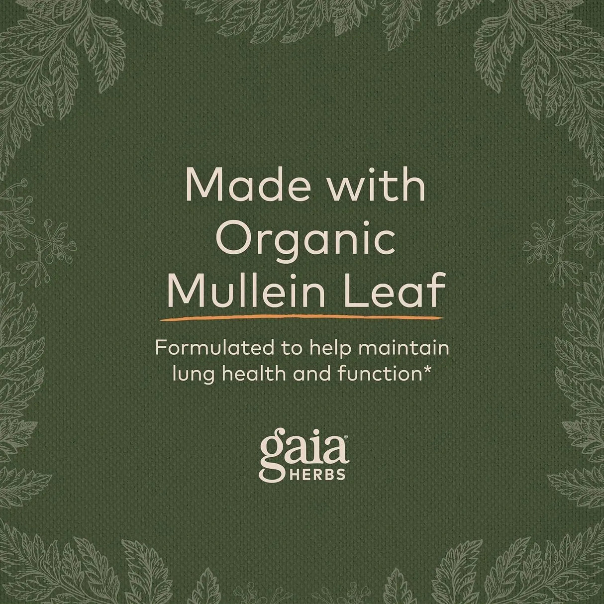 GAIA HERBS - Gaia Herbs Mighty Lungs 60 Capsulas - The Red Vitamin MX - Suplementos Alimenticios - {{ shop.shopifyCountryName }}