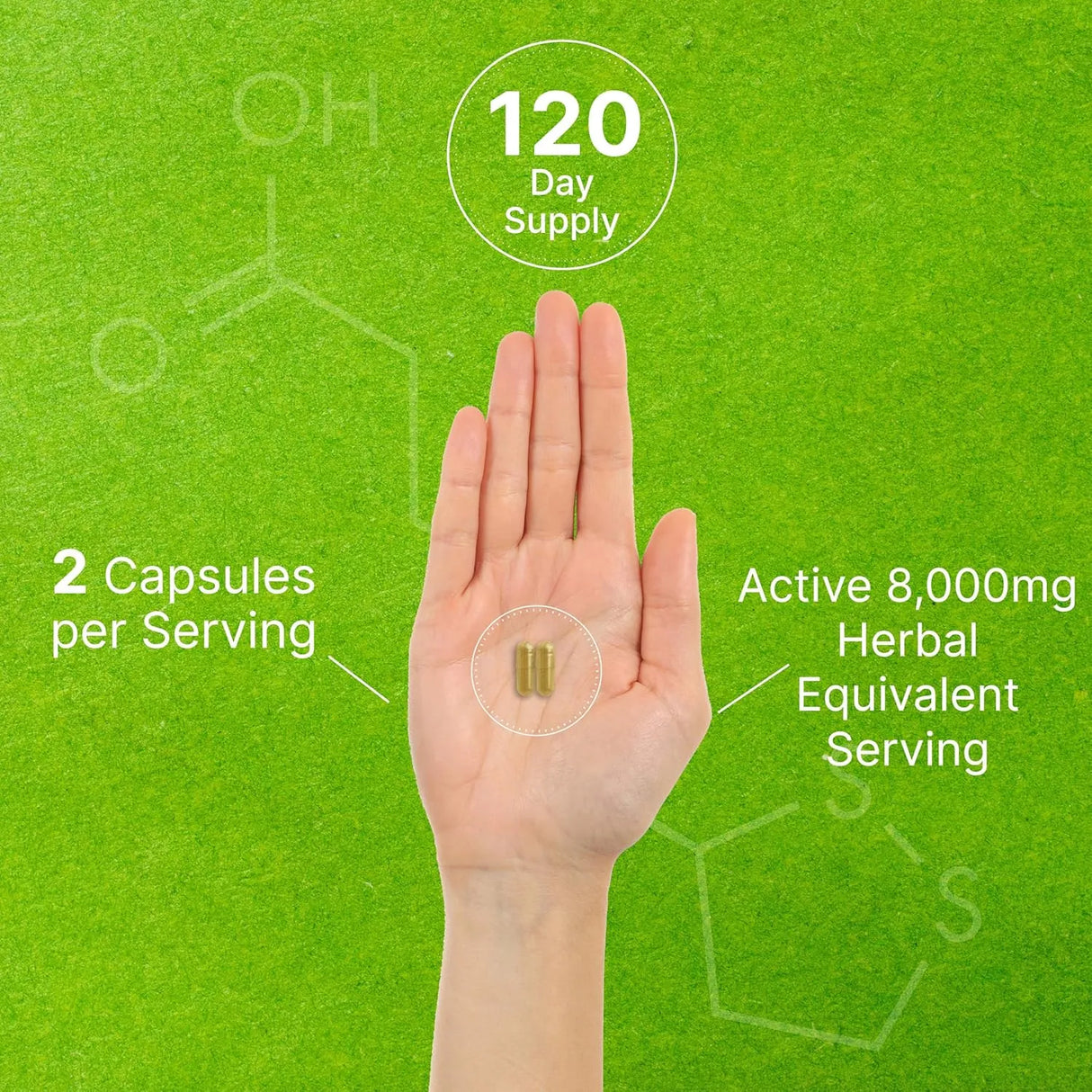 DEAL SUPPLEMENT - DEAL SUPPLEMENT Organic 10-in-1 Mushroom Defense Formula 240 Capsulas - The Red Vitamin MX - Suplementos Alimenticios - {{ shop.shopifyCountryName }}