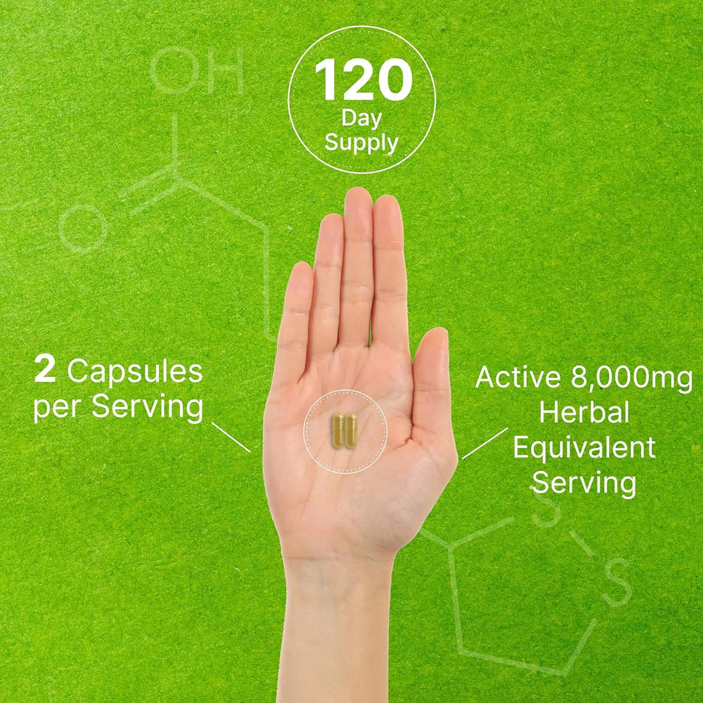 DEAL SUPPLEMENT - DEAL SUPPLEMENT Organic 10-in-1 Mushroom Defense Formula 240 Capsulas - The Red Vitamin MX - Suplementos Alimenticios - {{ shop.shopifyCountryName }}