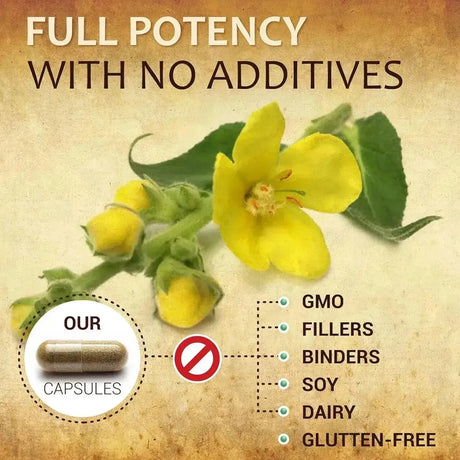 HERBALICIOUS - HERBALICIOUS Mullein Leaf Extract 100 Capsulas - The Red Vitamin MX - Suplementos Alimenticios - {{ shop.shopifyCountryName }}