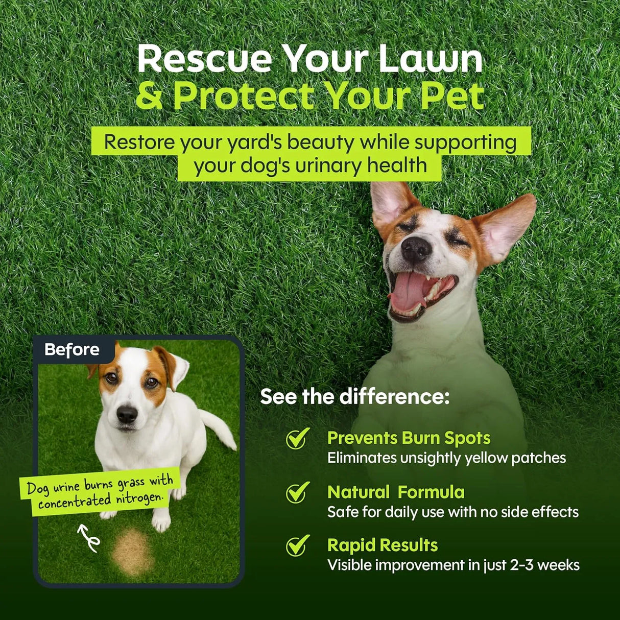 DAYBREAK NUTRITION - Daybreak Nutrition Green Relief Dog Urine Neutralizer for Lawn 120Gr. - The Red Vitamin MX - Salud De Tracto Urinario Para Perros - {{ shop.shopifyCountryName }}