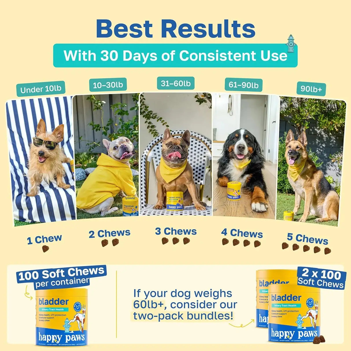 HAPPY PAWS - Happy Paws Bladder Support for Dogs 100 Masticables 2 Pack - The Red Vitamin MX - Salud De Tracto Urinario Para Perros - {{ shop.shopifyCountryName }}