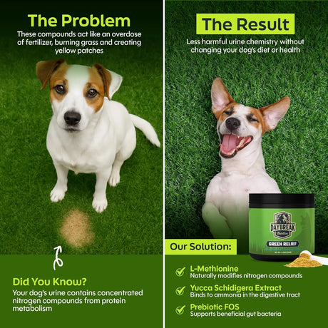 DAYBREAK NUTRITION - Daybreak Nutrition Green Relief Dog Urine Neutralizer for Lawn 120Gr. - The Red Vitamin MX - Salud De Tracto Urinario Para Perros - {{ shop.shopifyCountryName }}